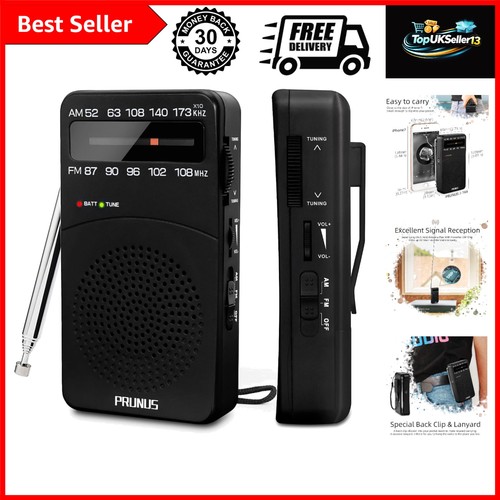 166 portable radio fm - portable,